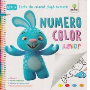 NumeroColor Initiat