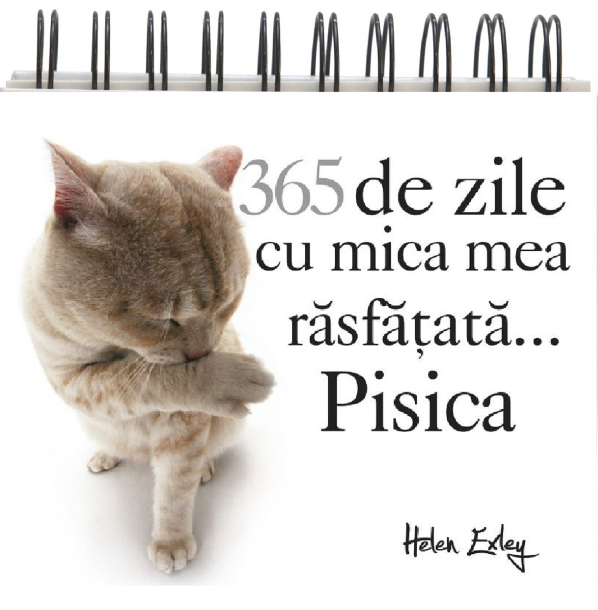 365 de zile cu mica mea rasfatata... Pisica