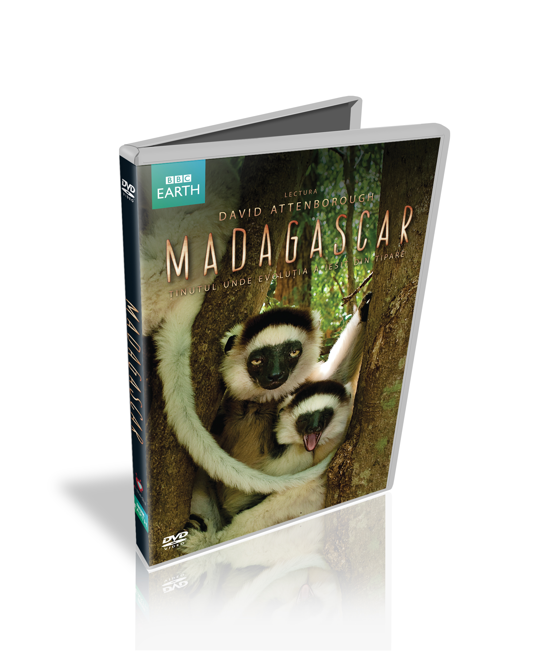 Madagascar