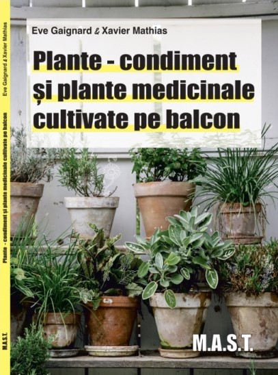 Plante-condiment si plante medicinale cultivate pe balcon