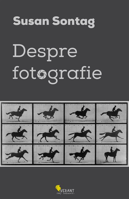 Despre fotografie