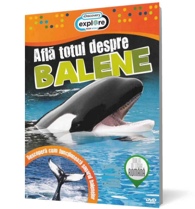 Află totul despre balene