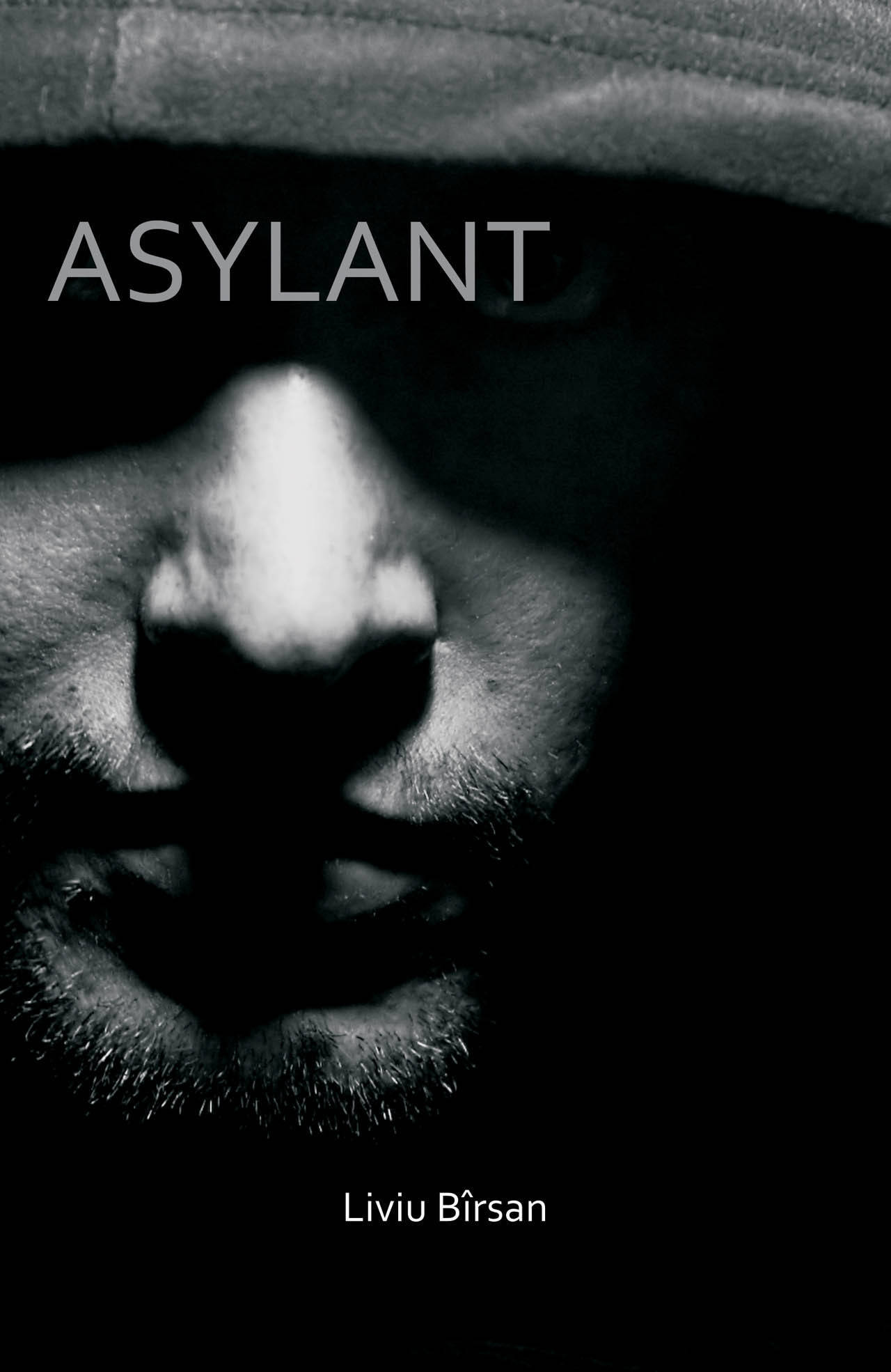 Asylant (ebook)