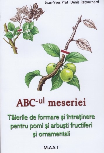 Abc-ul meseriei