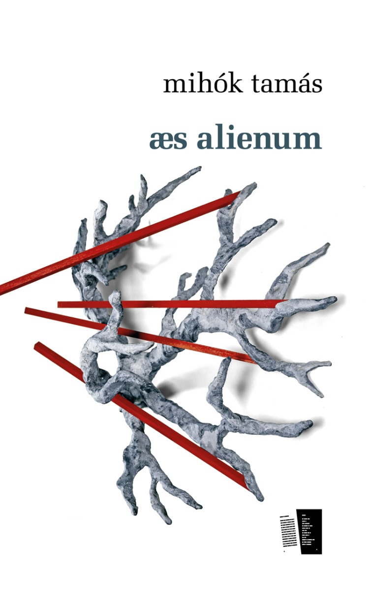 æs alienum