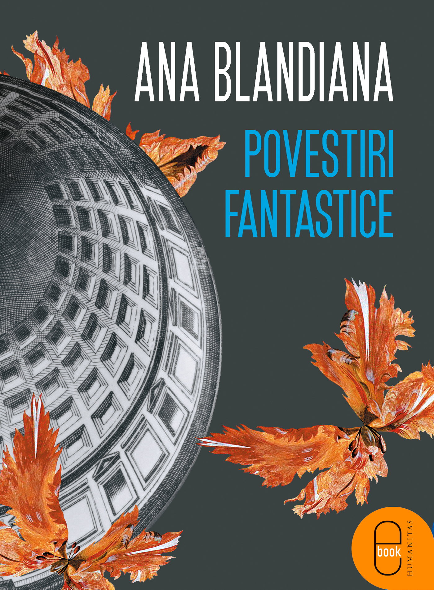 Povestiri fantastice (epub)