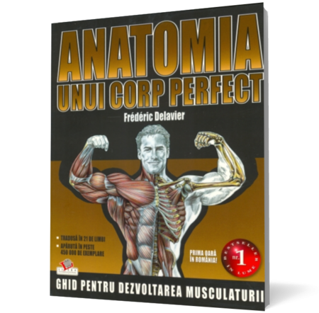 Anatomia unui corp perfect