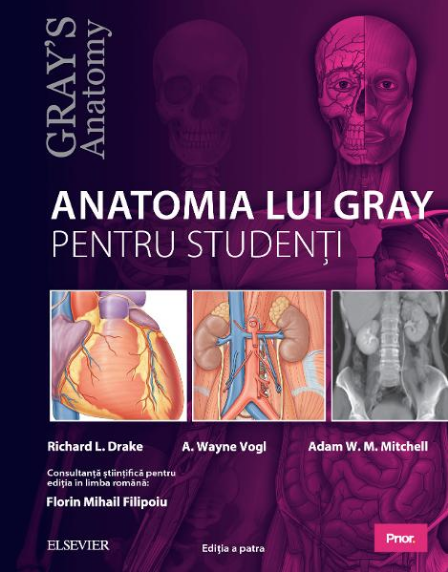 Anatomia lui Gray pentru studenți