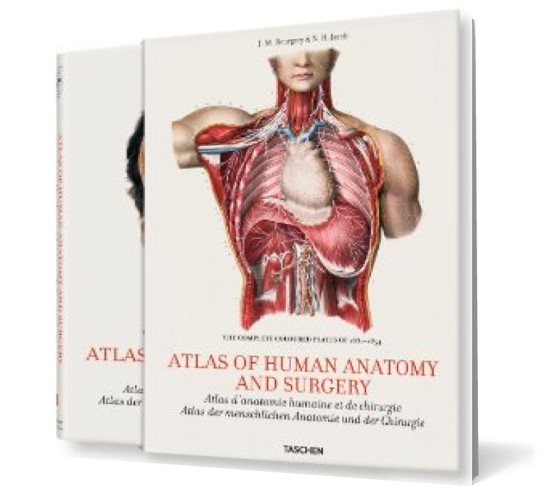 Bourgery: Atlas of Anatomy (2 Vol.)