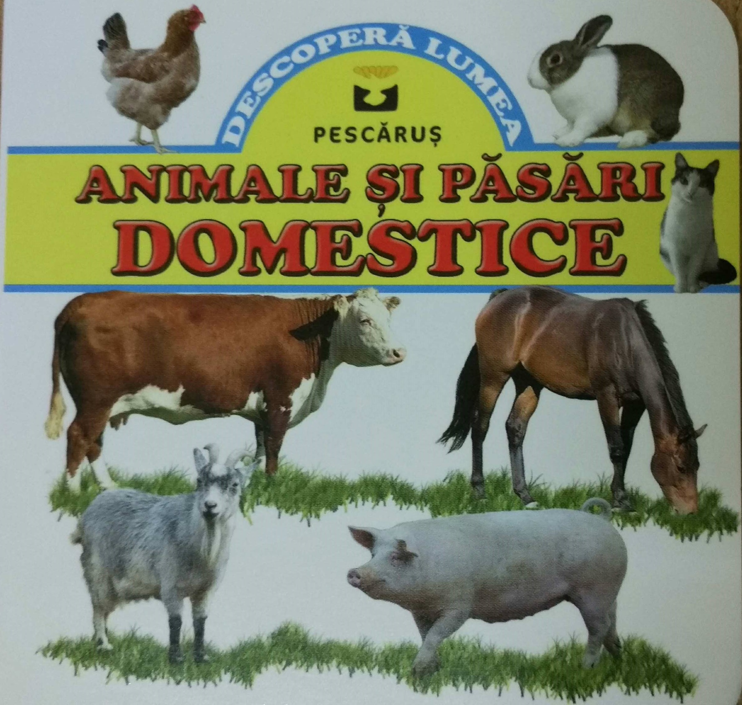 Animale si pasari domestice.