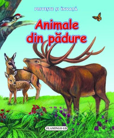 Privește și învață - Animale din pădure