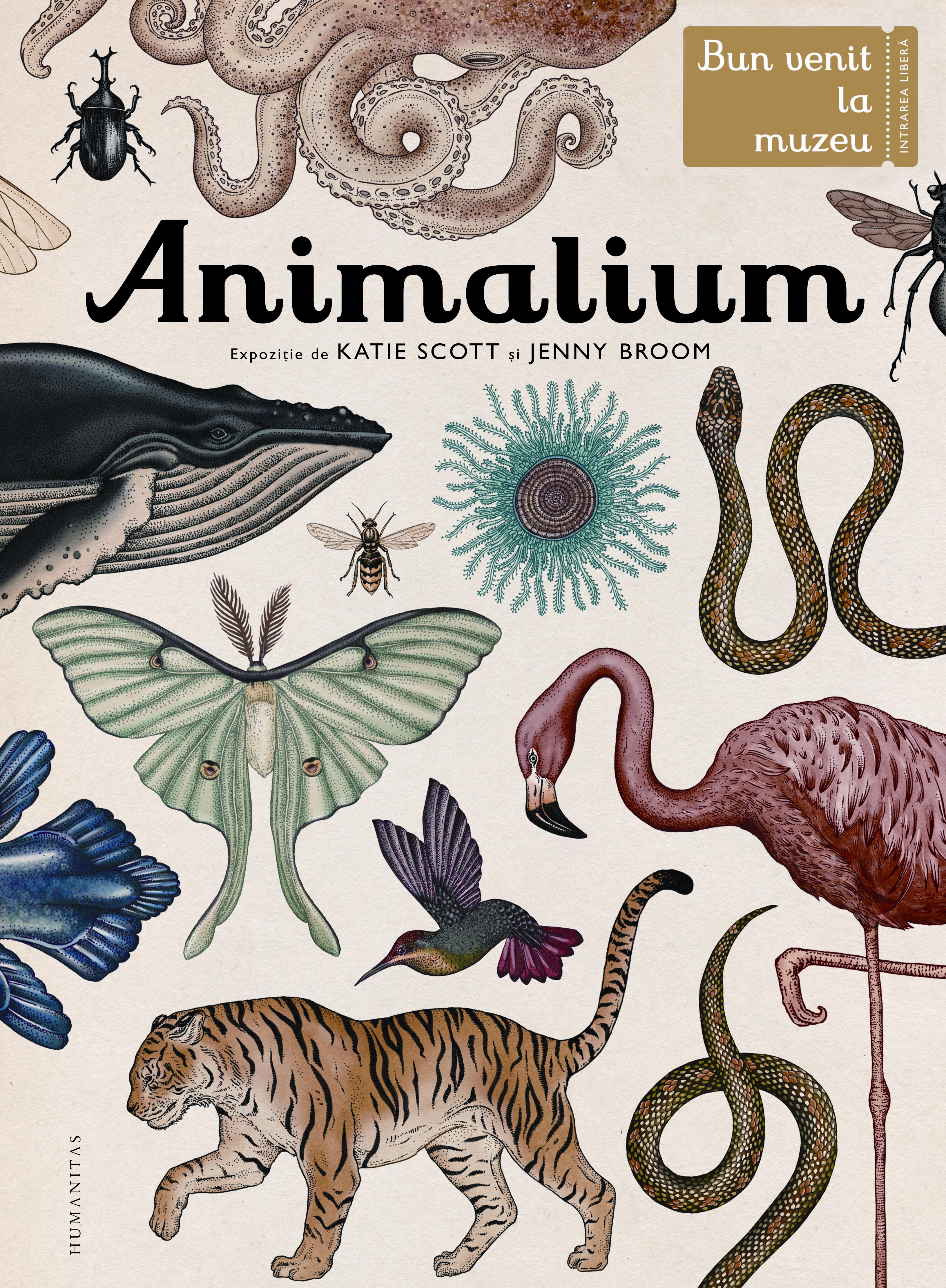 Animalium