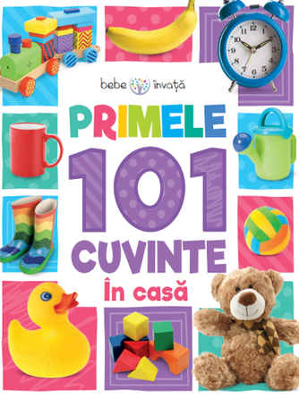 Bebe invata. Primele 101 cuvinte. Acasa