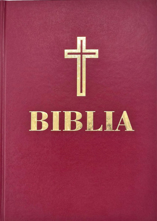 Biblia (format A4)