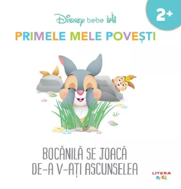 Bocanila se joaca de-a v-ati ascunselea