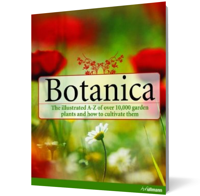 Botanica