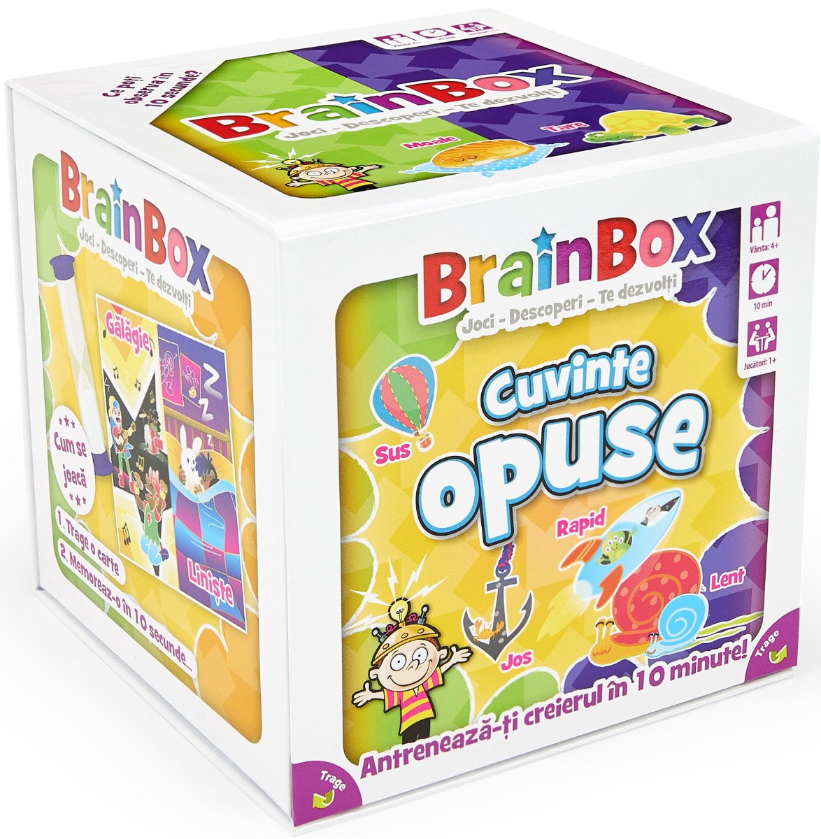 Brainbox. Cuvinte opuse