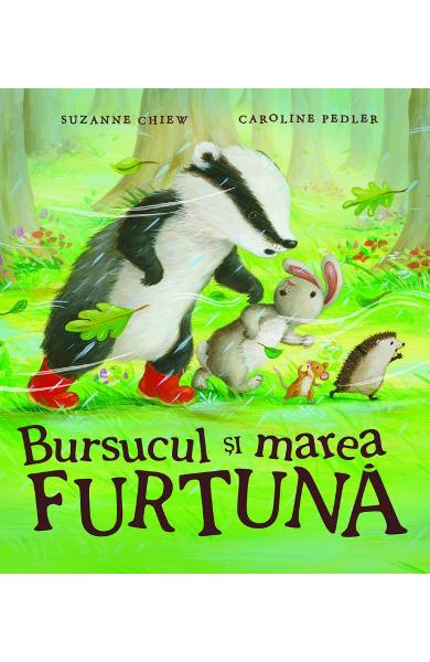 Bursucul si marea furtuna