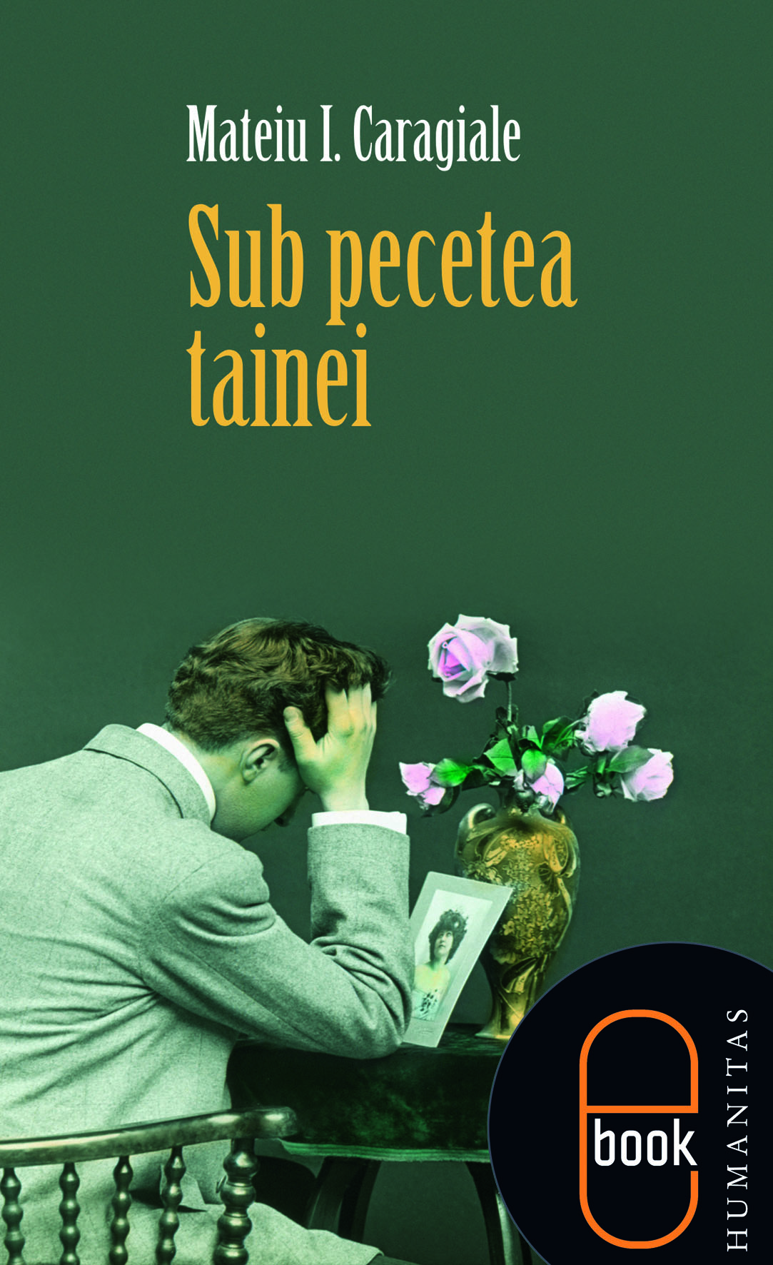 Sub pecetea tainei (epub)