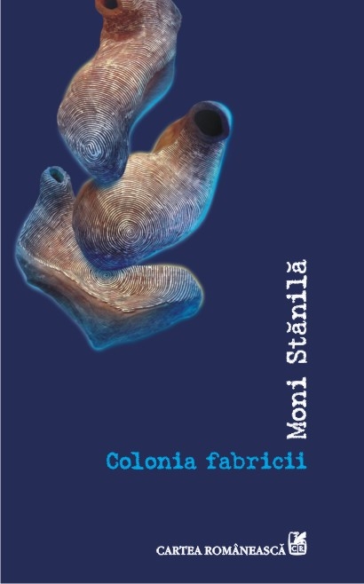 Colonia fabricii