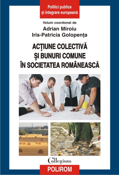 Actiune colectiva si bunuri comune in societatea romaneasca