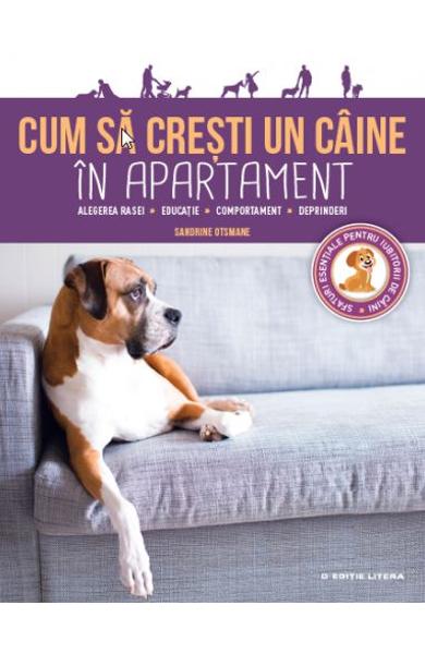 Cum sa cresti un caine in apartament