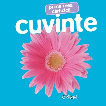 Cuvinte. Prima mea cărticică