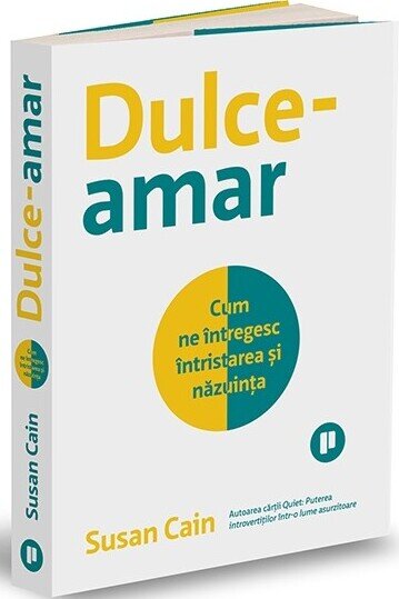 Dulce-amar. Cum ne întregesc întristarea și năzuința