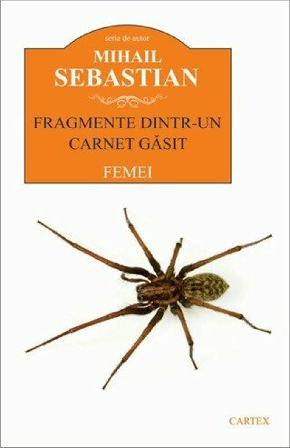 Fragmente dintr-un carnet gasit. Femei