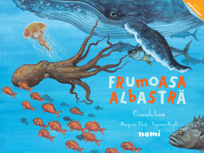 Frumoasa albastră - Oceanele lumii