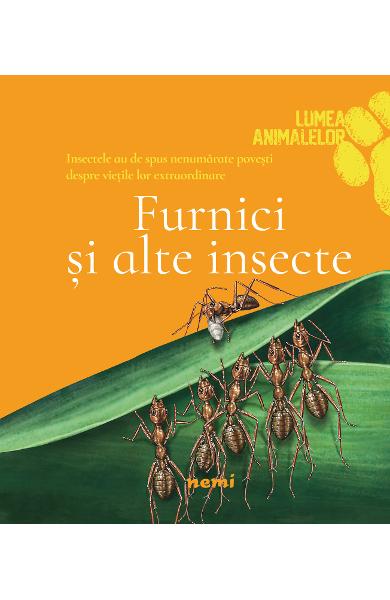 Furnici si alte insecte