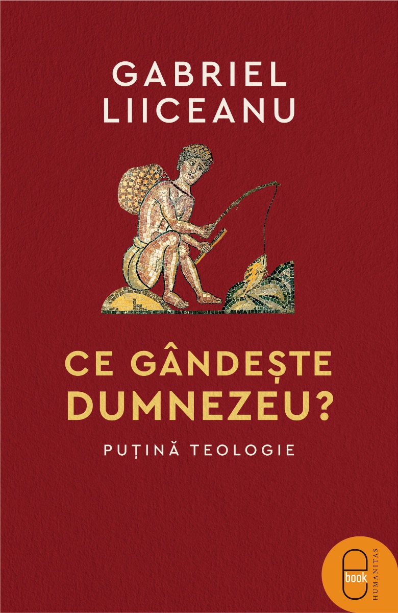 Ce gândește Dumnezeu? Puțină teologie (epub)