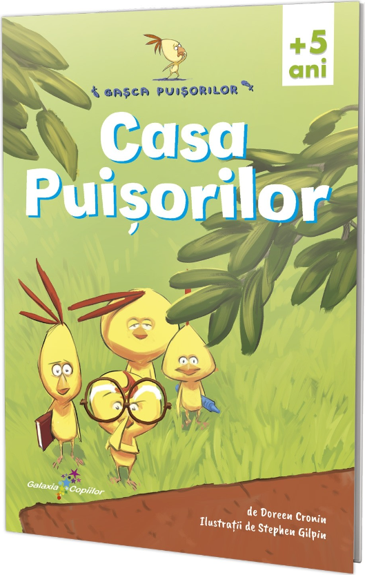 Casa puisorilor