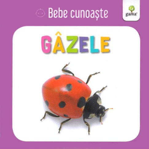 Gazele. Bebe cunoaste