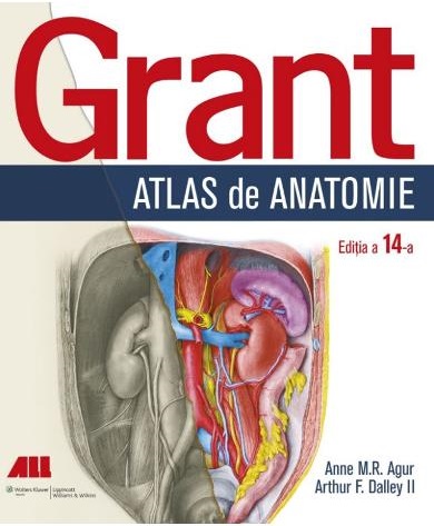 Grant. Atlas de anatomie