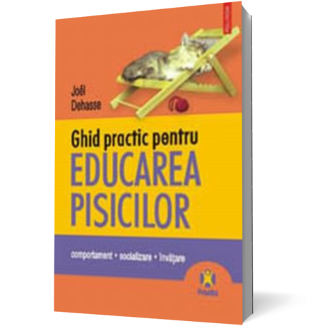 Ghid practic pentru educarea pisicilor