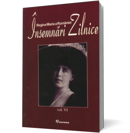 Insemnari zilnice, vol. VI