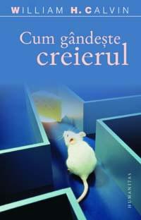 Cum gandeste creierul