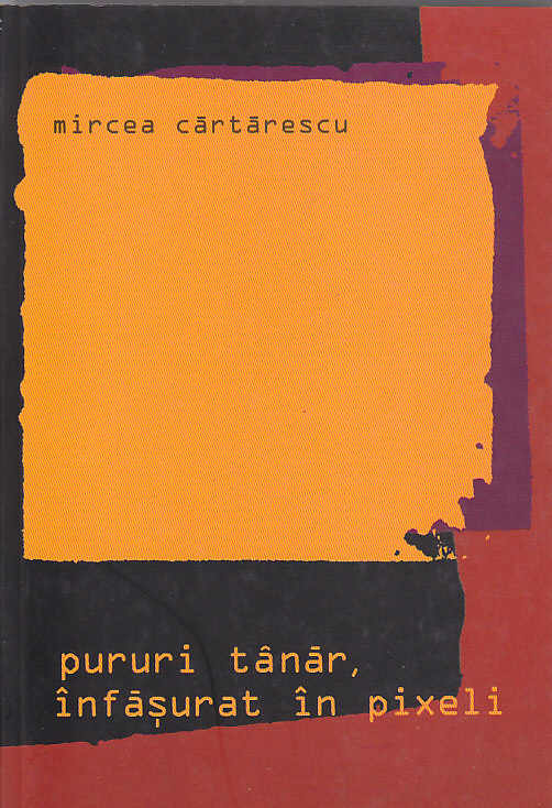 Pururi tinar infasurat in pixeli ii