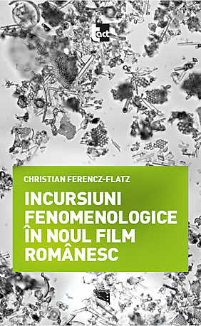 Incursiuni fenomenologice in noul film romanesc