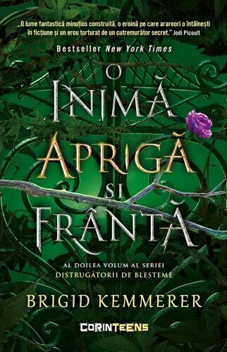 O inima apriga si franta (seria Distrugatorii de blesteme, vol. 2)