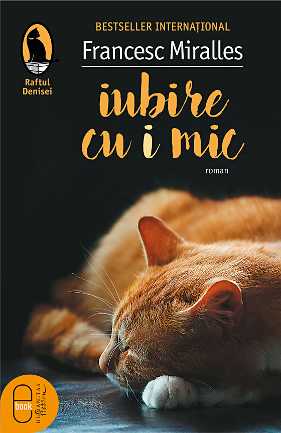 Iubire cu „i“ mic (epub)