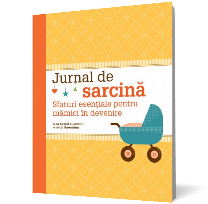 Jurnal de sarcină