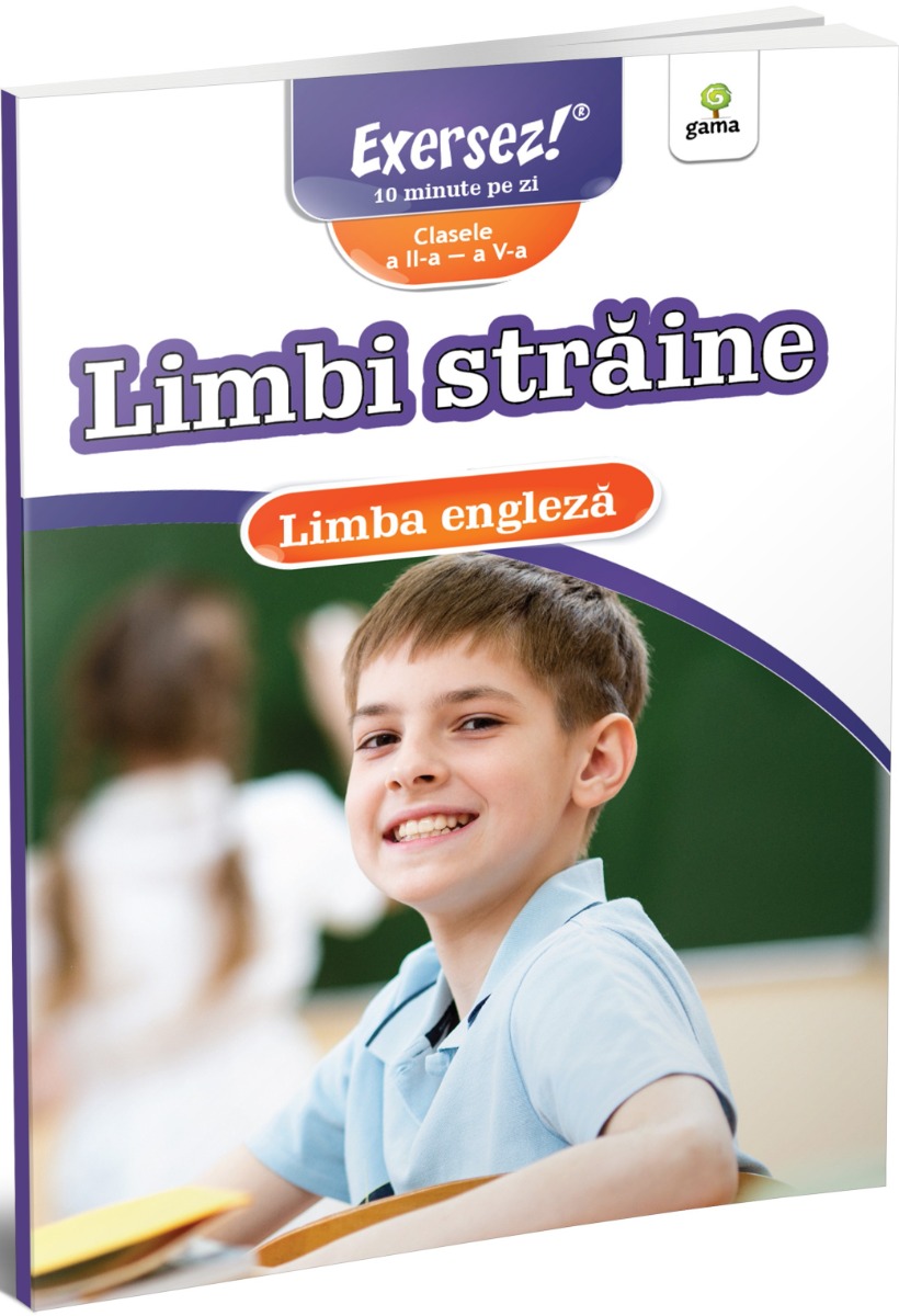 Limbi straine. Limba engleza