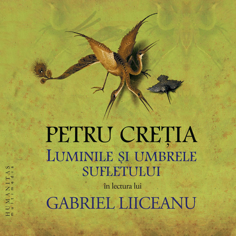 Luminile si umbrele sufletului (mp3)