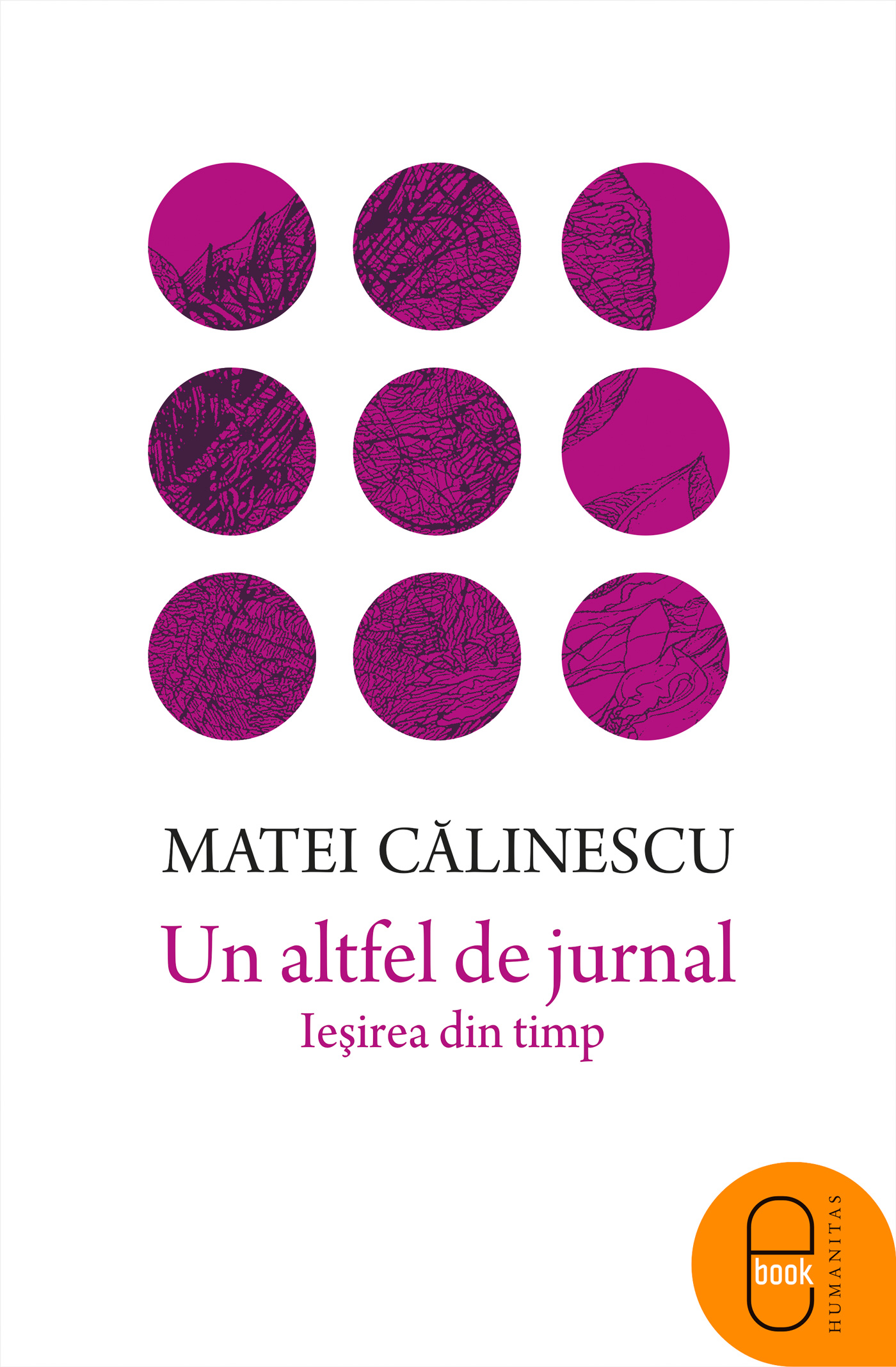 Un altfel de jurnal (epub)