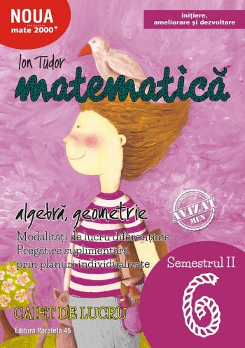 Matematica. Algebra, geometrie. Caiet de lucru. Clasa a VI-a. Semestrul II. Initiere