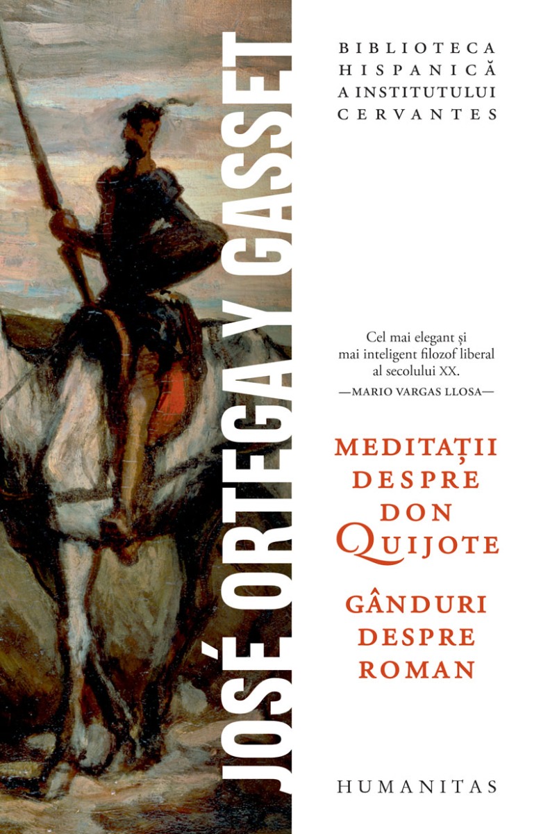 Meditații despre Don Quijote. Gânduri despre roman