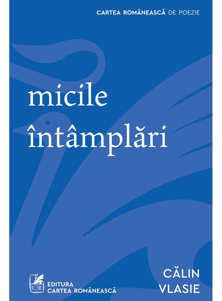 micile intamplari