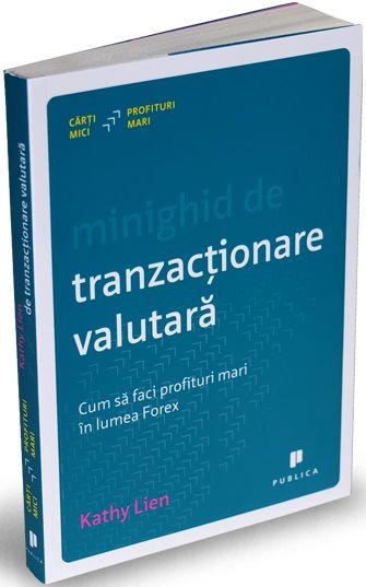 Minighid de tranzacţionare valutară. Cum să faci profituri mari în lumea Forex